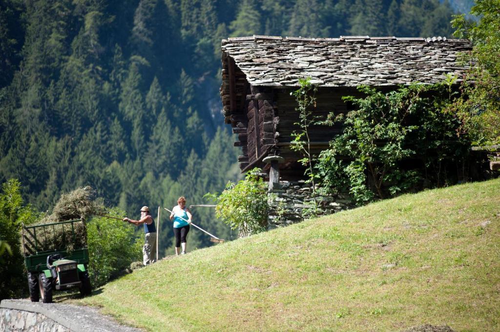 Albergo Castello Da Bonino 캄포르셰르 객실 사진